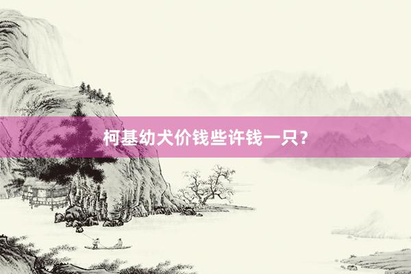 柯基幼犬价钱些许钱一只？