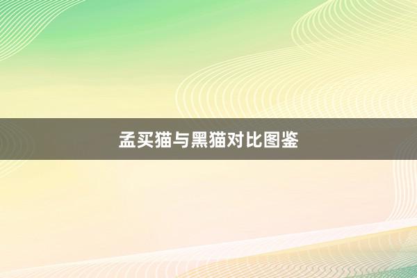 孟买猫与黑猫对比图鉴