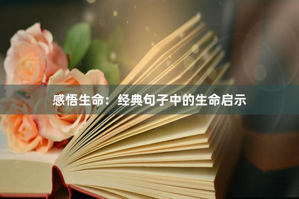 感悟生命：经典句子中的生命启示